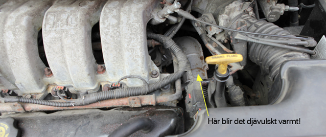 Motor MG_2937 small.jpg