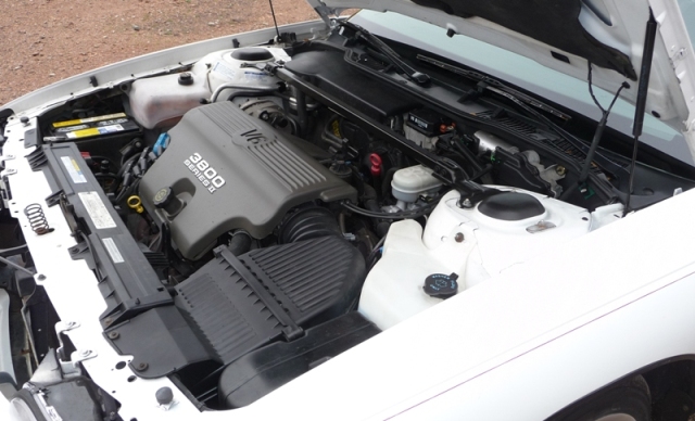 P1030812 - Kopia.JPG