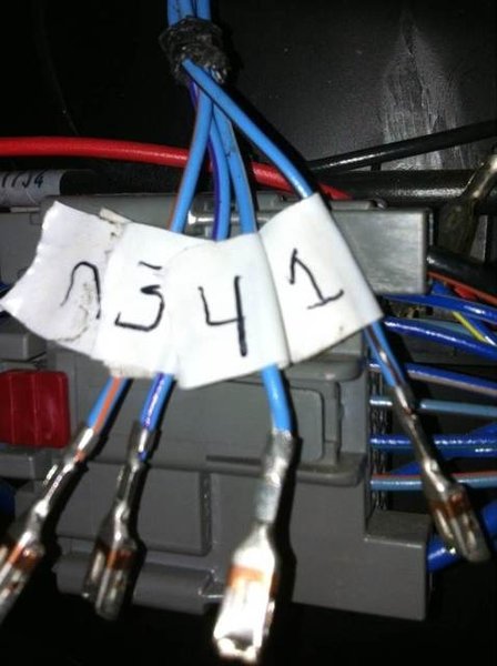 ImageUploadedByTapatalk1353517635.863566.jpg